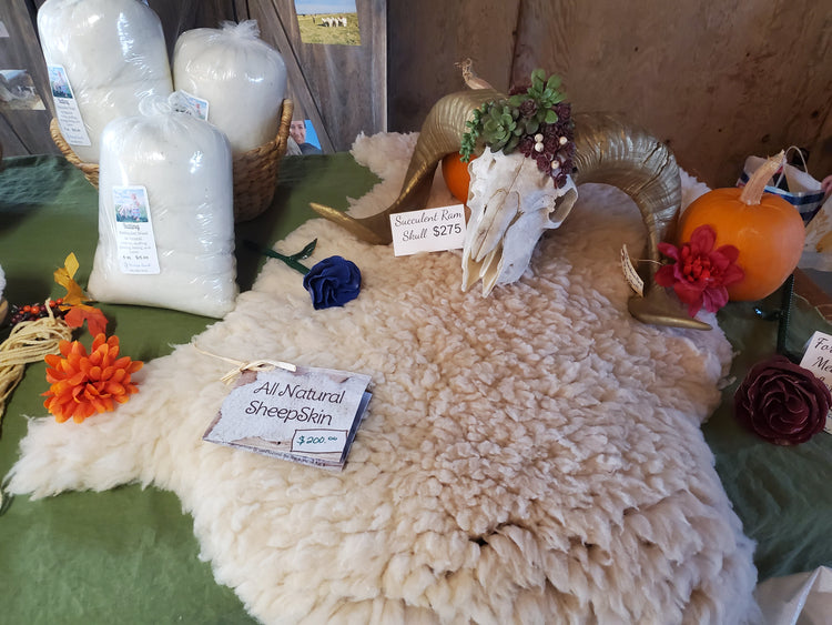 Wool, Needle Felting, & Sheepskins