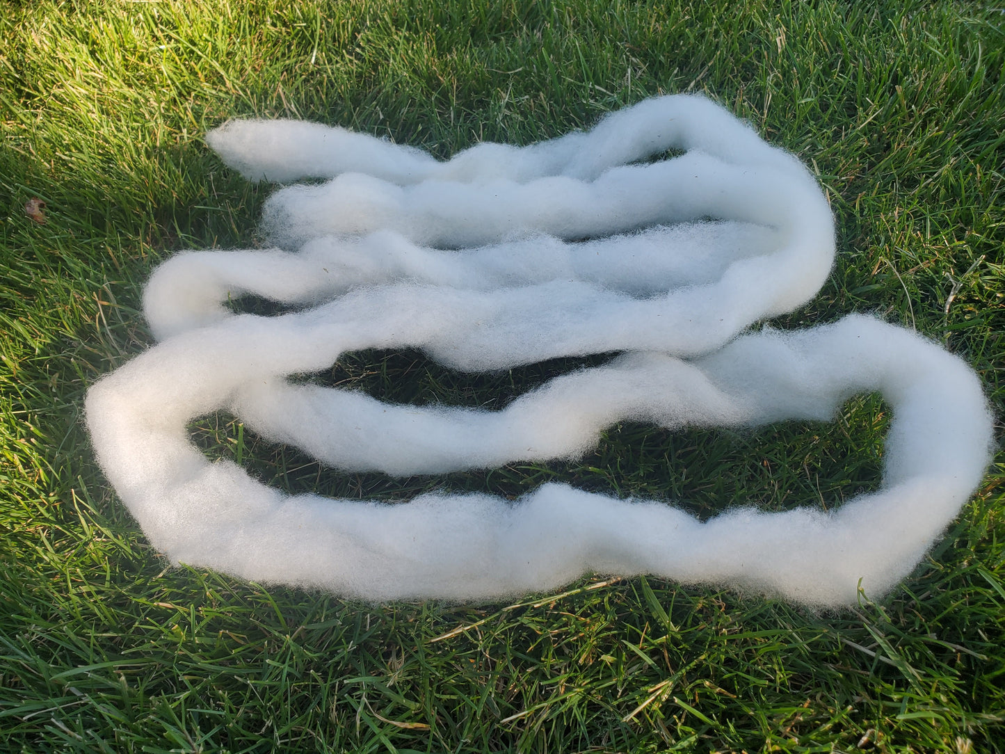 Wool - Roving