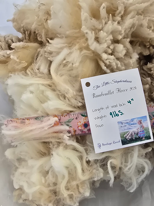 Wool - Raw Rambouillet